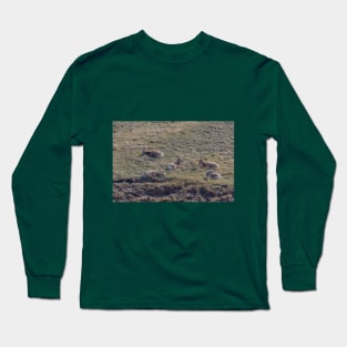 Bighorn Sheep Resting in the Grass Long Sleeve T-Shirt